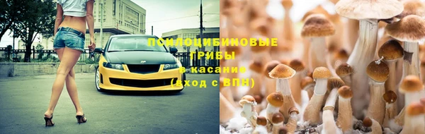 прущий лед Киренск