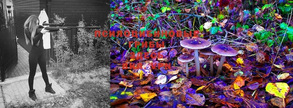 мефедрон мука Киреевск
