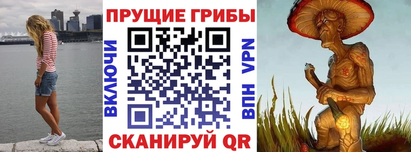 Псилоцибиновые грибы мухоморы  Купить закладки  Севастополь 